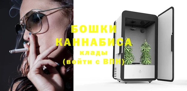 гидра Алексин