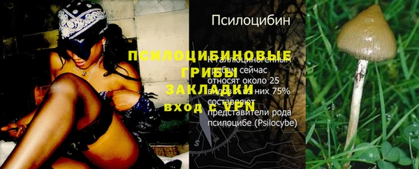 скорость mdpv Билибино