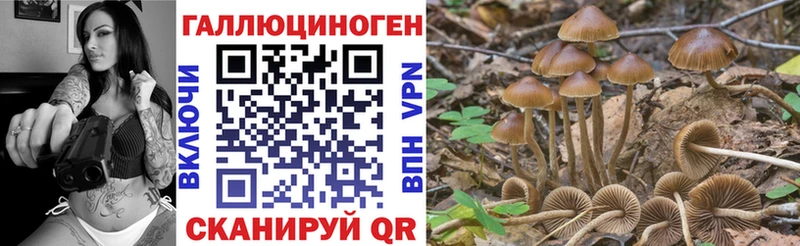 ОМГ ОМГ как войти  где купить   Гусь-Хрустальный  Псилоцибиновые грибы мицелий 