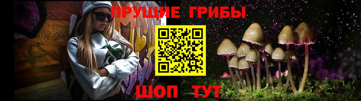 Галлюциногенные грибы Cubensis  Вход с VPN  Псилоцибиновые грибы MAGIC MUSHROOMS  Гусь-Хрустальный 