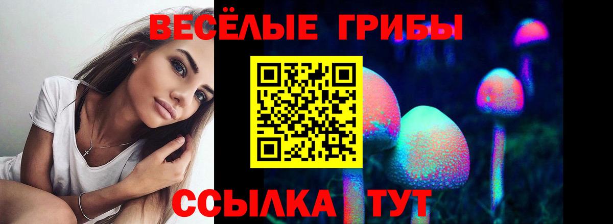 Галлюциногенные грибы Psilocybine cubensis Гусь-Хрустальный